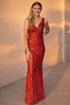Toscana Red Sequin Dress (Copy)