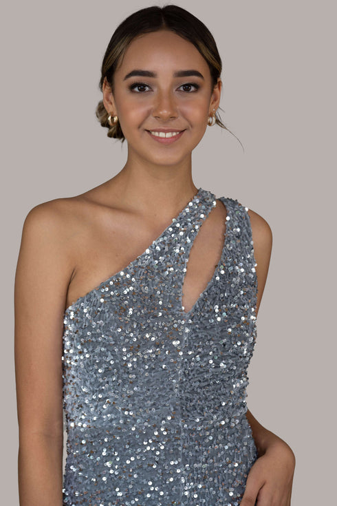Lourdes Silver Sequin Dress